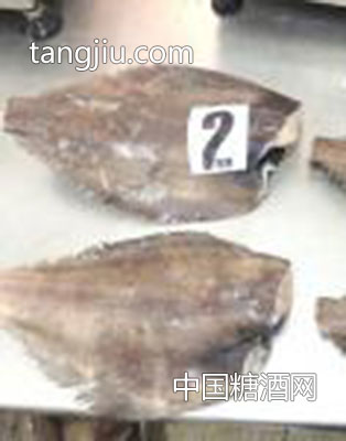 比目魚(yú)