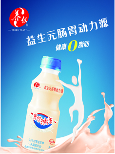 養(yǎng)儀乳酸菌338大瓶裝