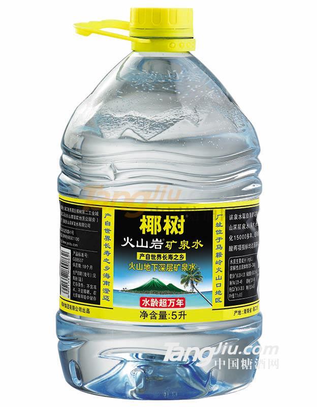 椰樹(shù)牌火山巖礦泉水.jpg