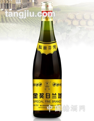 特種金獎(jiǎng)白蘭地750ml