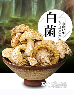 貢極石渠白菌50g