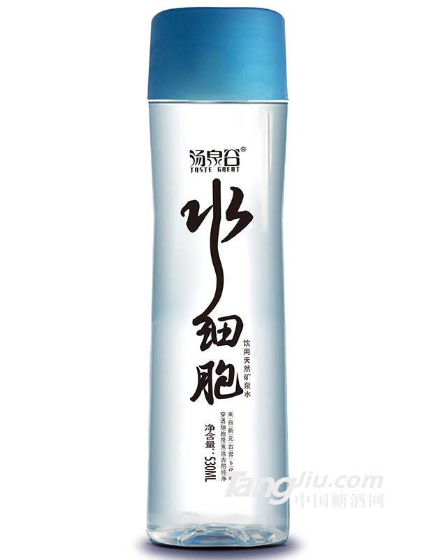 湯泉谷水細胞530ml