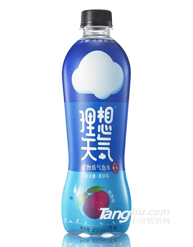 理想天氣·礦物質(zhì)氣泡水楊梅味450ml