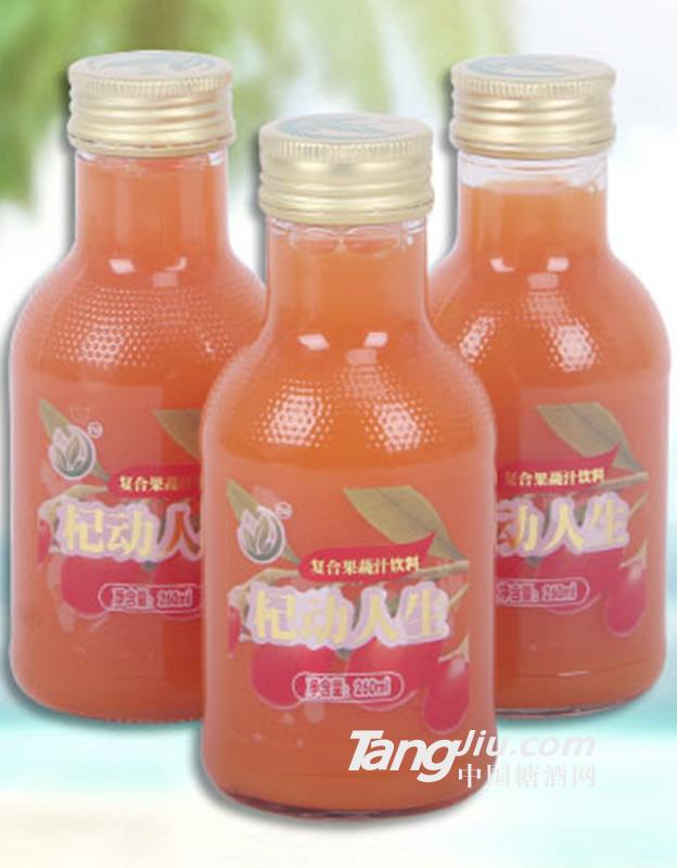 杞動(dòng)人生  260ml