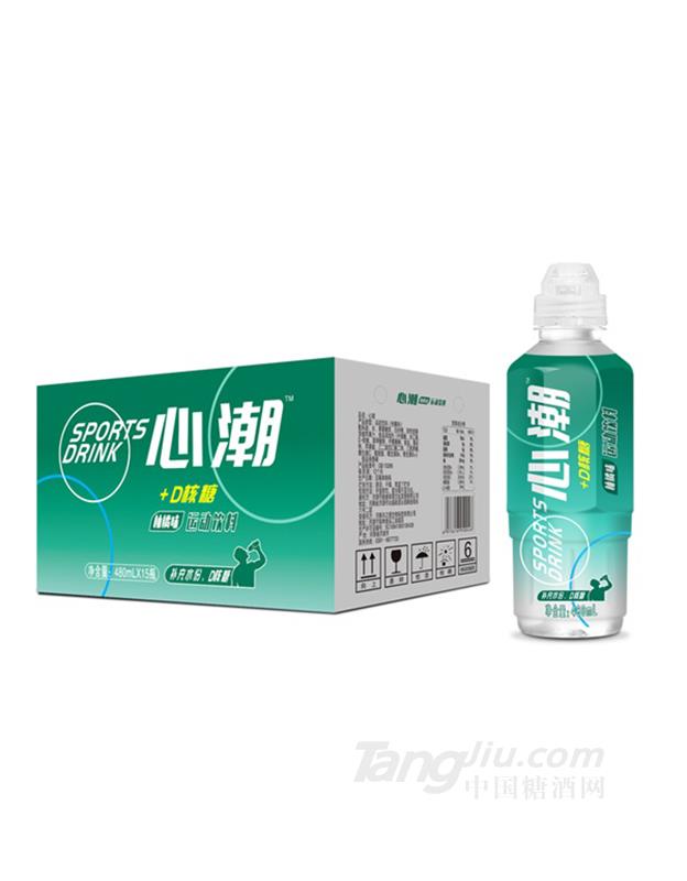 心潮運(yùn)動飲料柚橘味480mlx15瓶