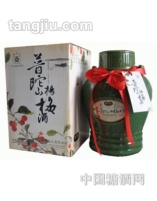 精裝普陀山楊梅酒2500ml