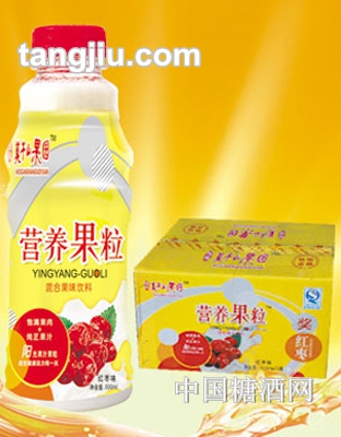 莫干山果園營(yíng)養(yǎng)果粒紅棗味500ml