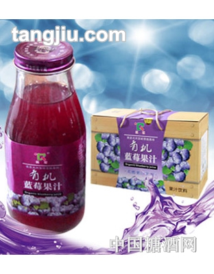 統(tǒng)球有機藍莓果汁300ml