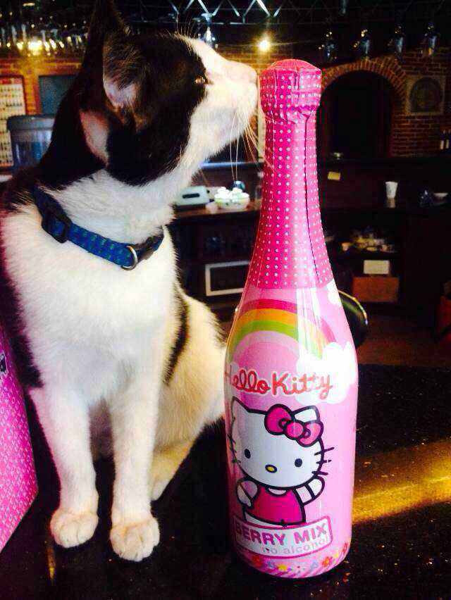 供應HelloKitty起泡酒